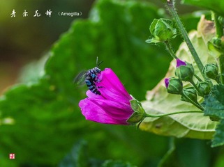 IMGP8587_