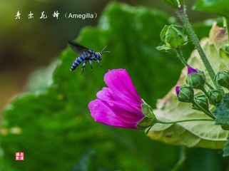IMGP8588_