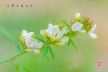 IMGP9597_