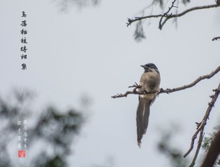IMGP9779_