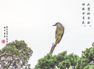 IMGP9792_