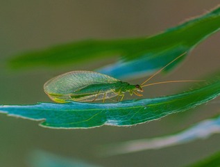 IMGP0227_