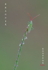 IMGP1497_