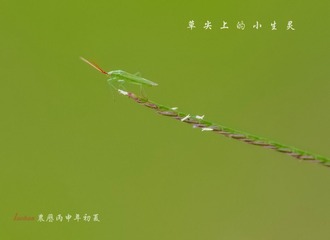 IMGP1502_