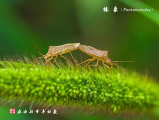 IMGP1596_