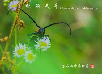 IMGP2280_