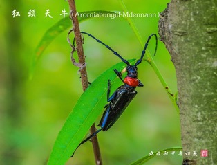 IMGP2298_