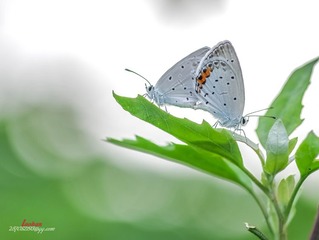 IMGP2391_