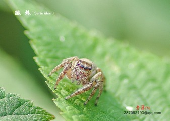 IMGP2572_