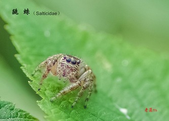IMGP2573_