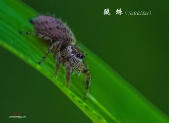 IMGP2869_