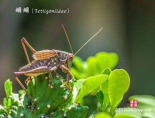 IMGP3833_