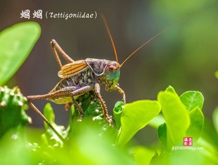 IMGP3838_