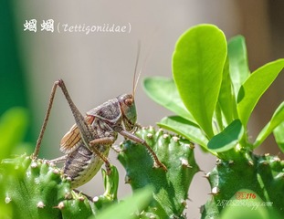 IMGP3854_