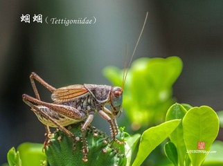 IMGP3924_