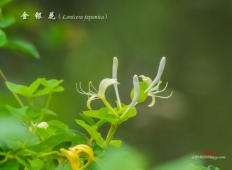 IMGP4973_