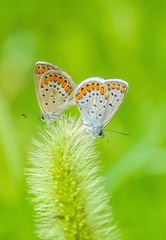 IMGP6621_