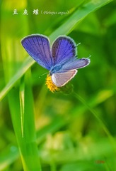 IMGP7812_