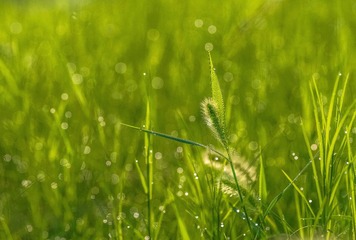 IMGP9843_
