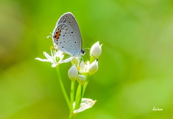 IMGP2527_