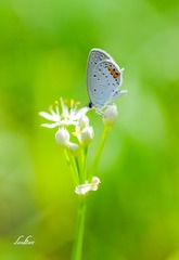IMGP2548_