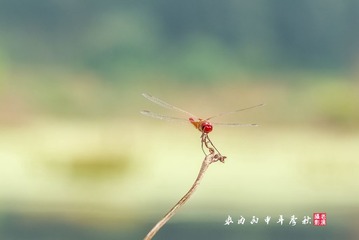 IMGP3162_