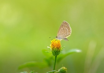 IMGP5477_