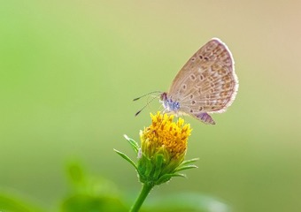 IMGP5488_
