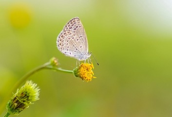 IMGP5538_