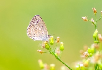 IMGP5560_