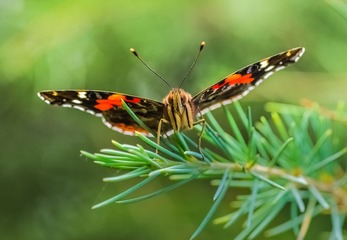 IMGP6106_