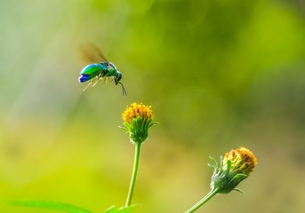 IMGP7514 -  - _