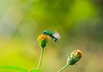 IMGP7512_