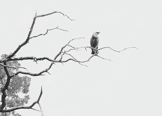 IMGP9812-01-_00-