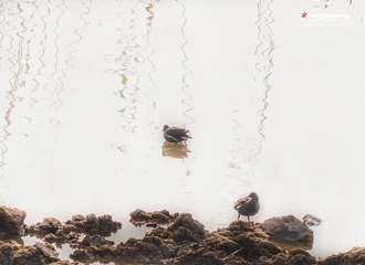 IMGP1023-01-_