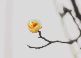 IMGP1166-mei-01_