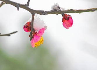 IMGP3114_00-