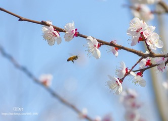 IMGP6489_