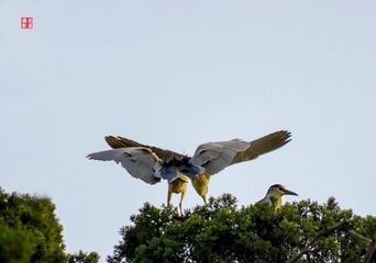 IMGP8578-02_