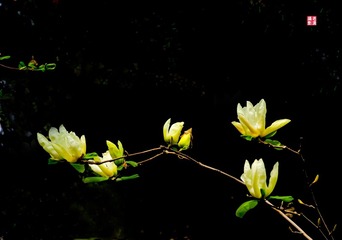 IMGP0524_