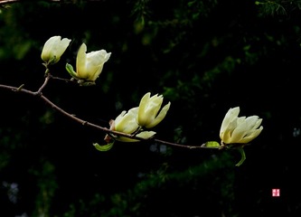 IMGP0507_