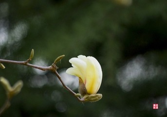 IMGP6327_