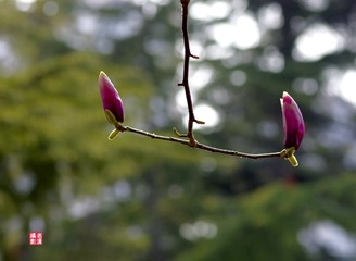 IMGP6390_