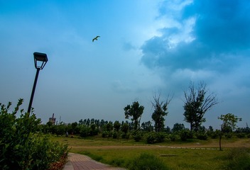 _IGP0192_