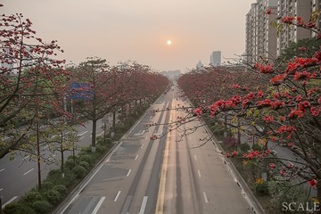5A9536
