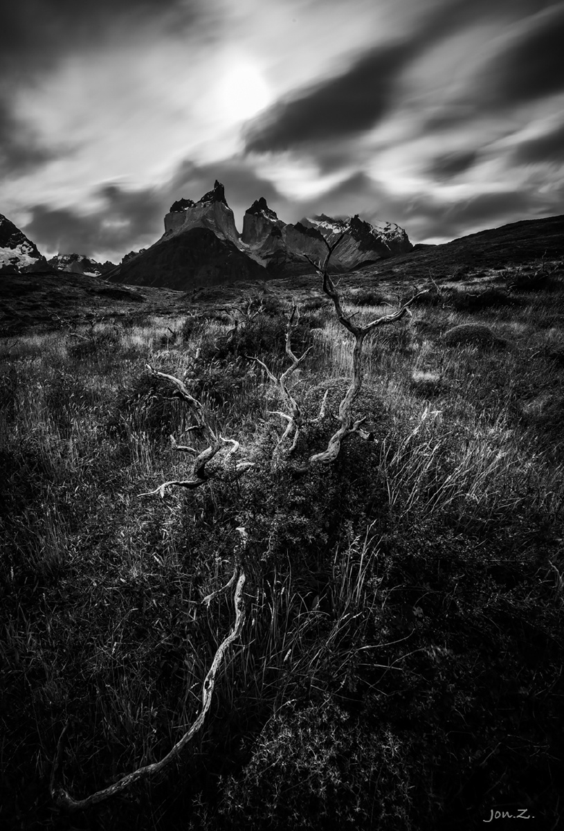 智利百内国家公园,从怪树林看百内角