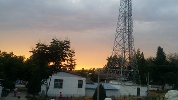 1256114