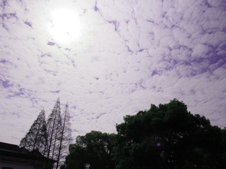 IMG_0236_