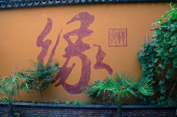 IMGP2120-2