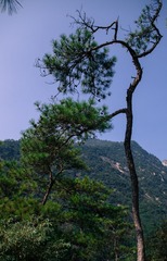 IMGP3625-2